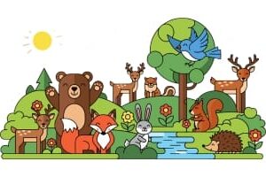 Forest Animals Photos