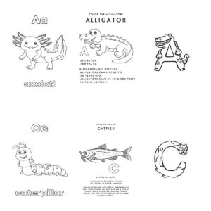 Animal Alphabet Coloring Book 1