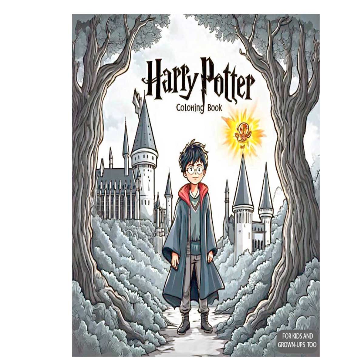 Harry Potter Coloring Book
