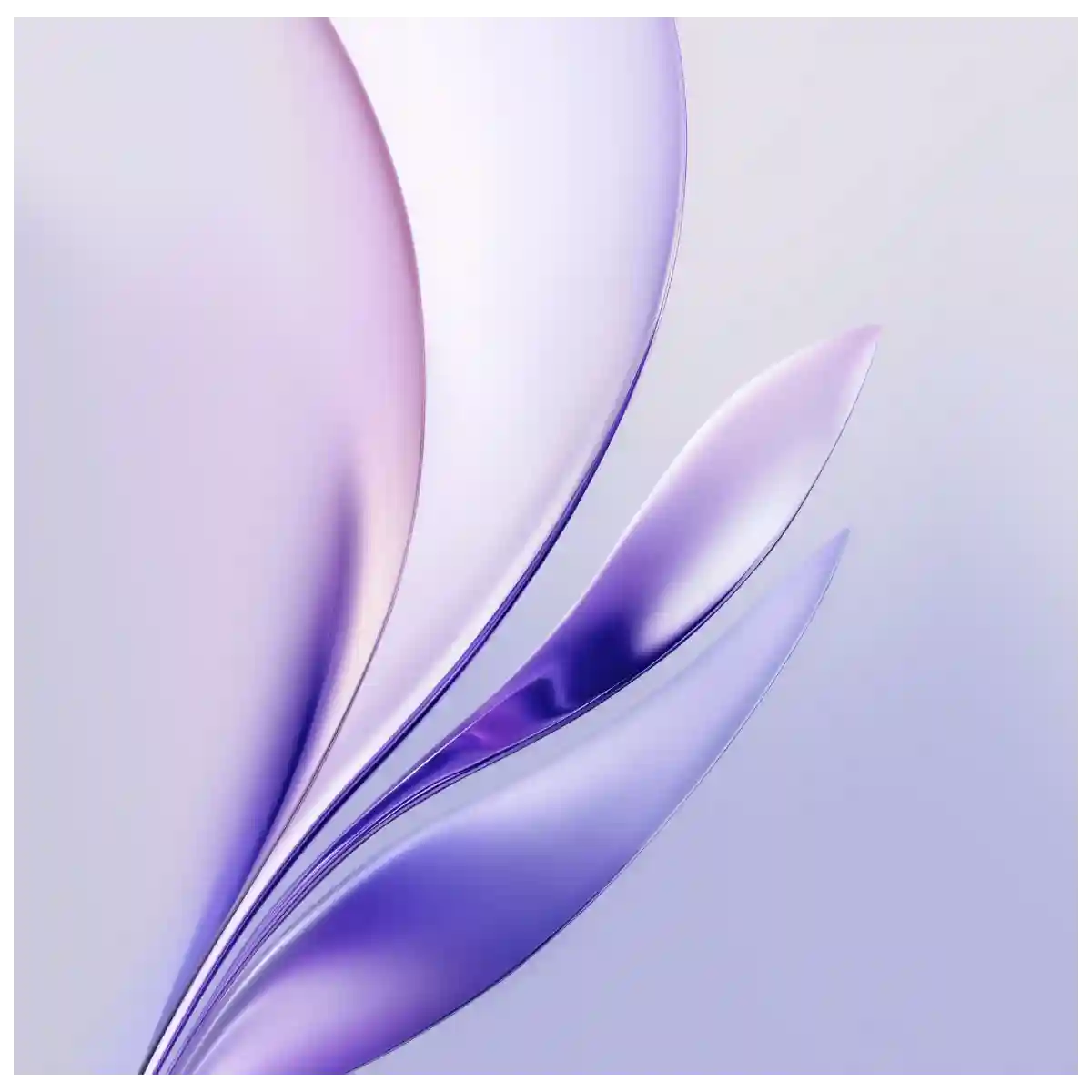 Glossy Purple Abstract Petals